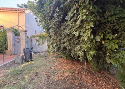 Aménagement extérieur jardin Marseille 12e – Élagage et coupe de la végétation existante